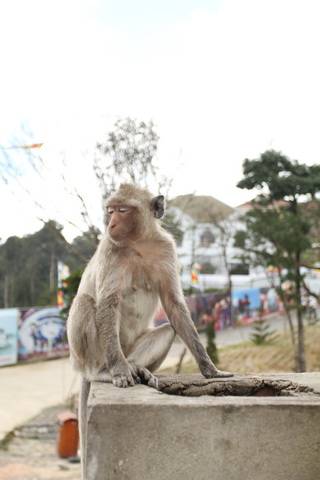 IMG_0829_resize_zpscf4ba5b9.jpg