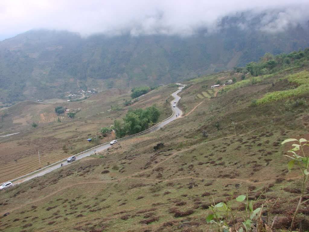 DSC09684-1.jpg