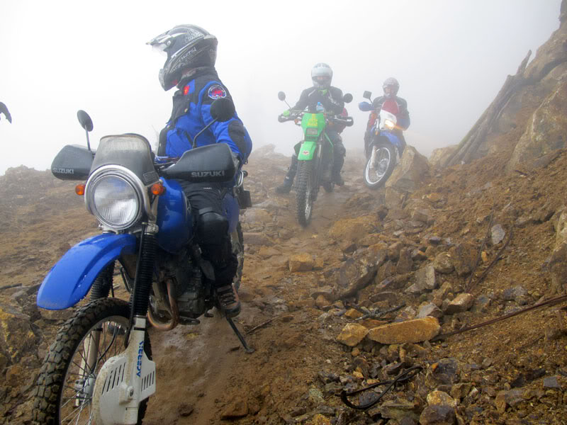 HongNgai2011460.jpg