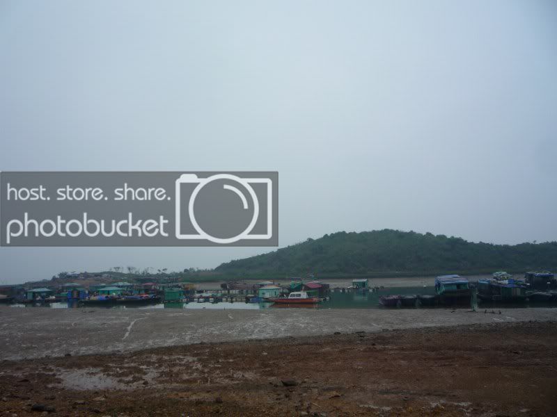 P1040731800x600.jpg