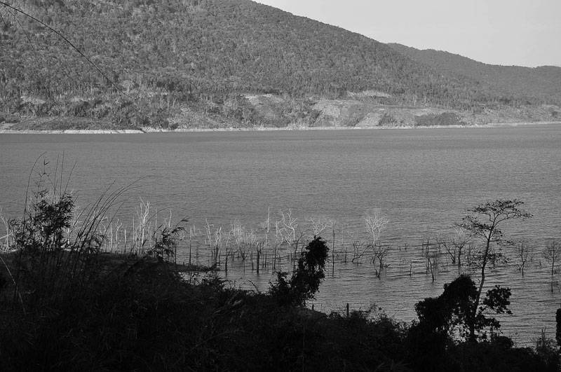 DSC_6972.jpg