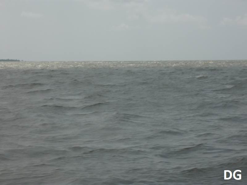 cuadai.jpg