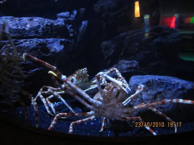 Picture040.jpg