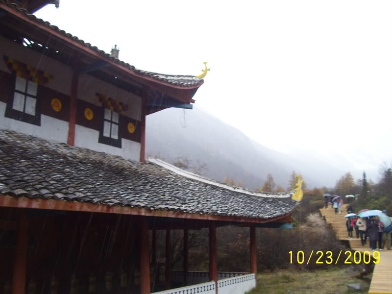 hoanglong111.jpg