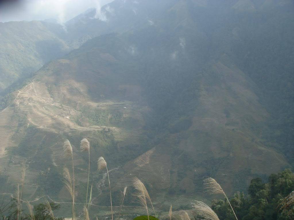 DSC05984.jpg