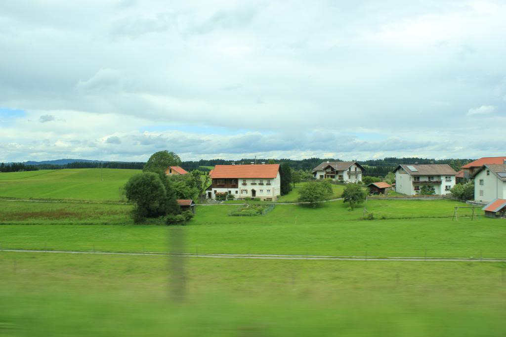 IMG_2978_zps10783864.jpg