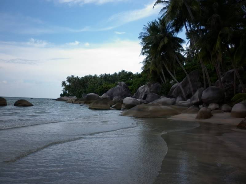 P1000980.jpg