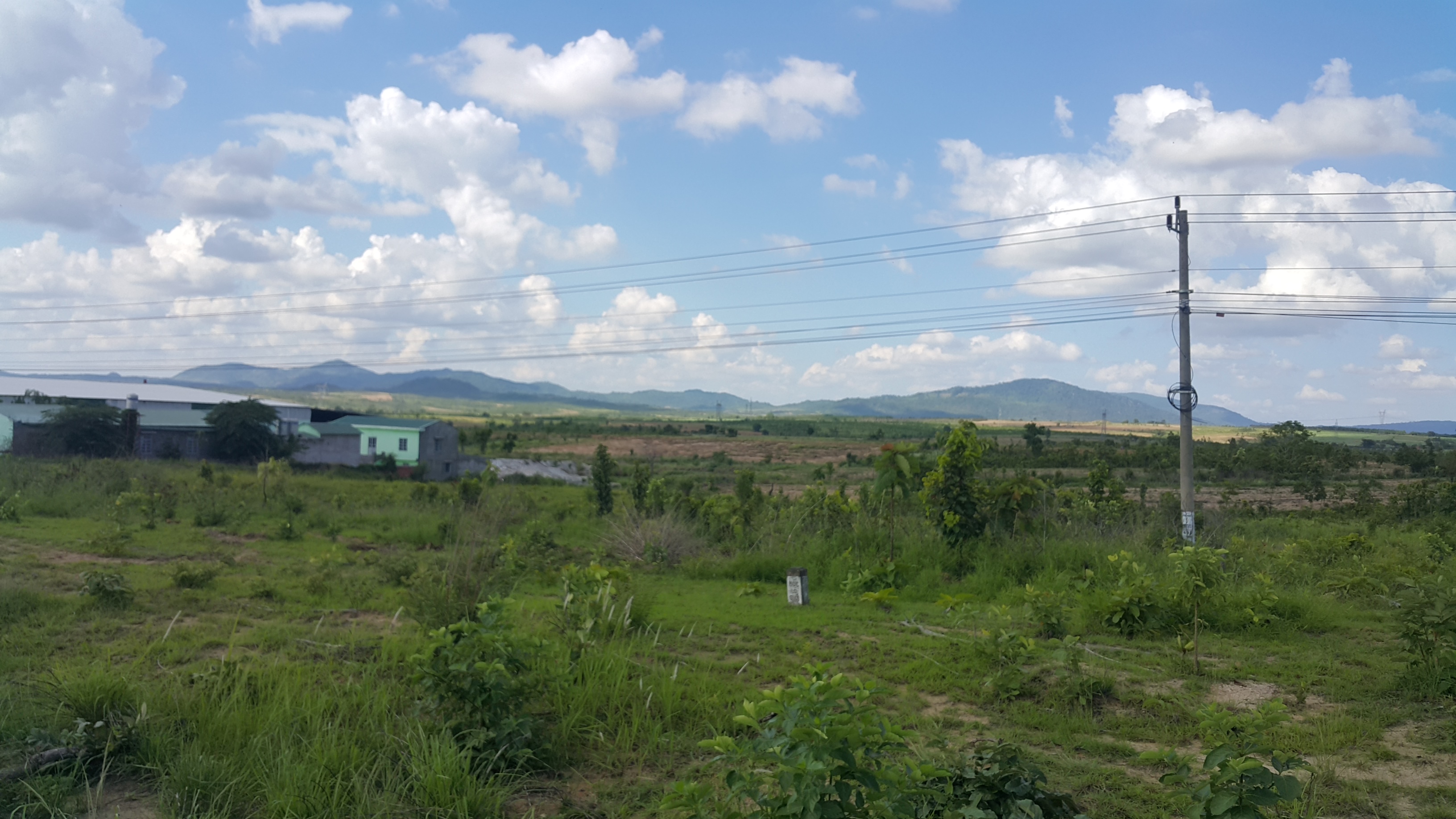 20170615_151111.jpg