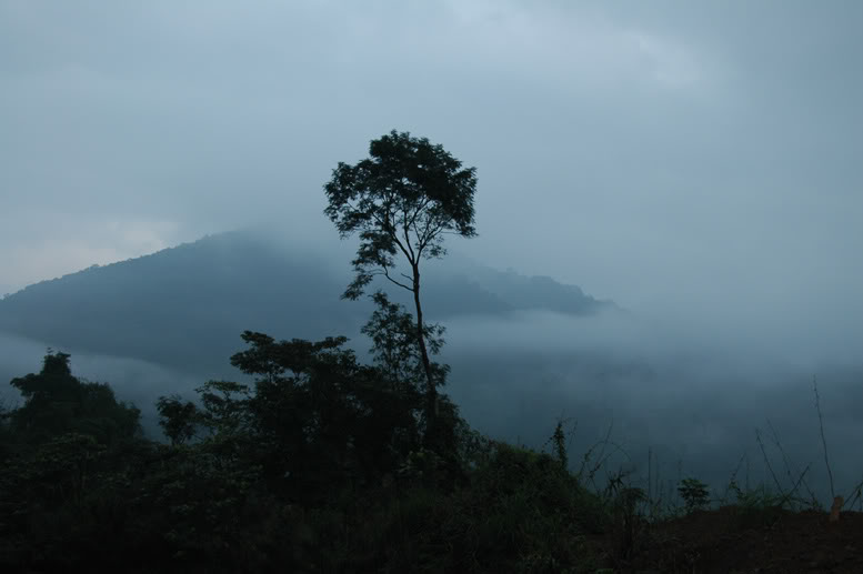 DSC_7301.jpg
