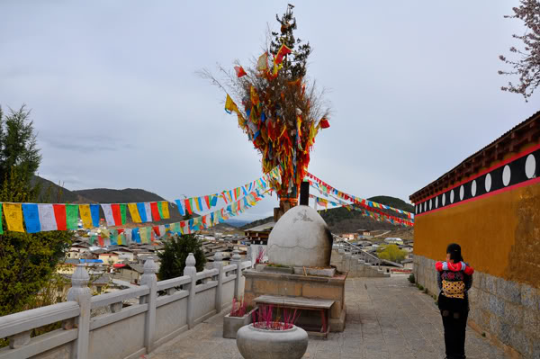shangri-la180.jpg