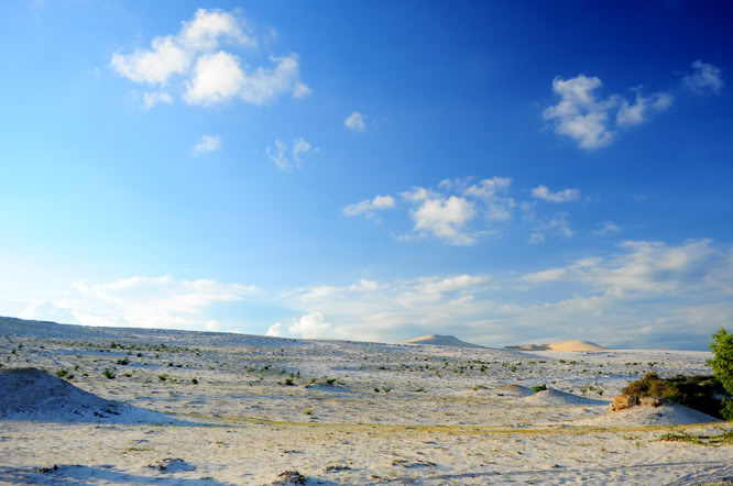 DSC_0411-1.jpg
