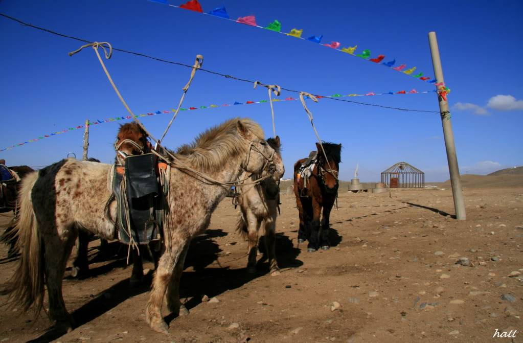 Datong782.jpg
