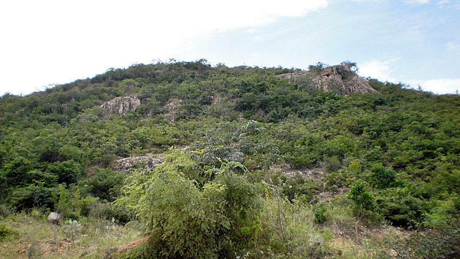 60b_zpsa56bf013.jpg