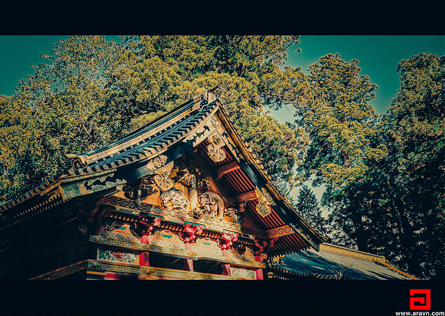20742201082_a696173693_z.jpg