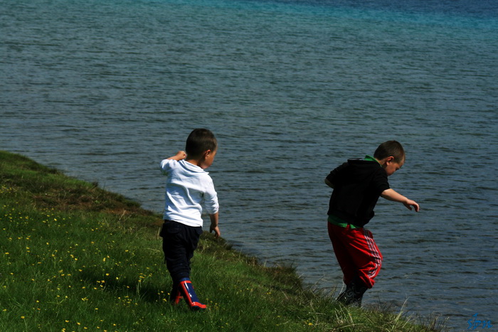 IMG_6987_zpsa72f9140.jpg
