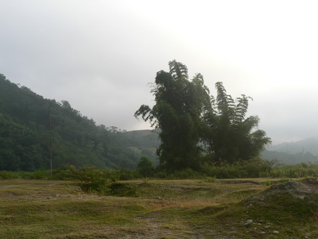P1090831.jpg