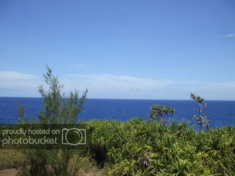 DSCF7587.jpg
