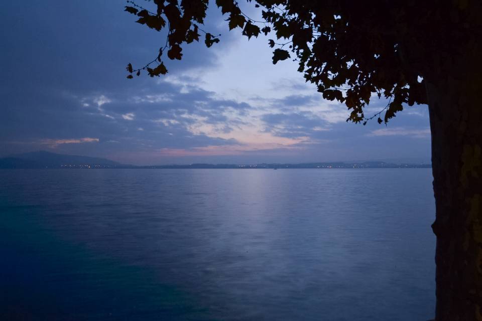 872_image.jpg
