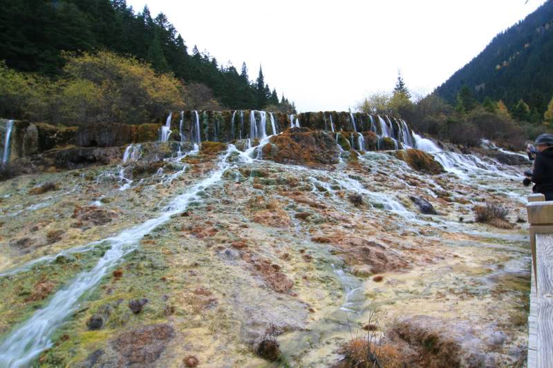hoanglong201.jpg