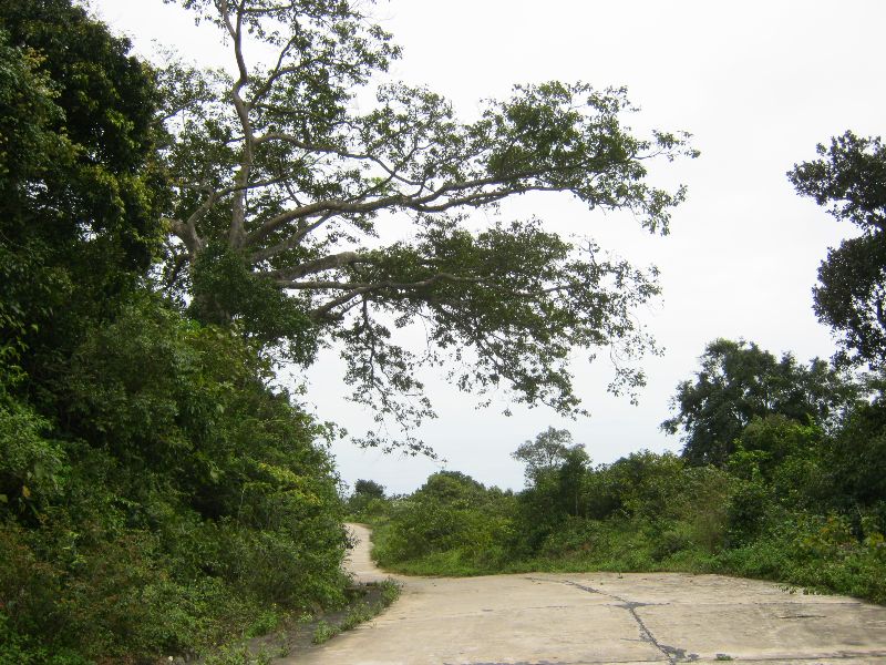 IMH_057.jpg