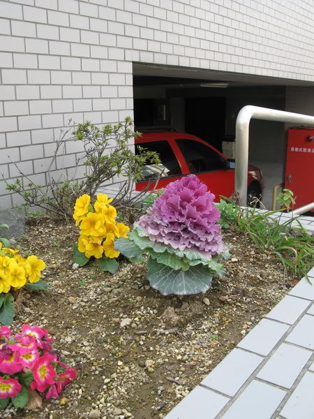 IMG_0854_resize.jpg