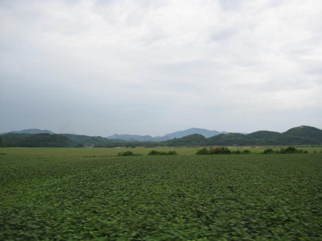 IMG_2095.jpg