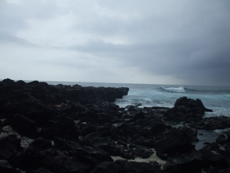 DSCF7017.jpg