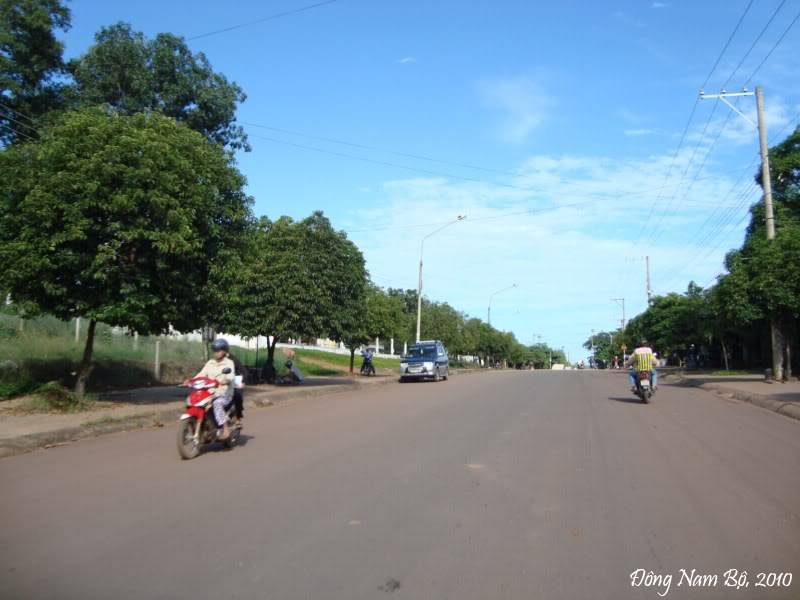 3649955e.jpg