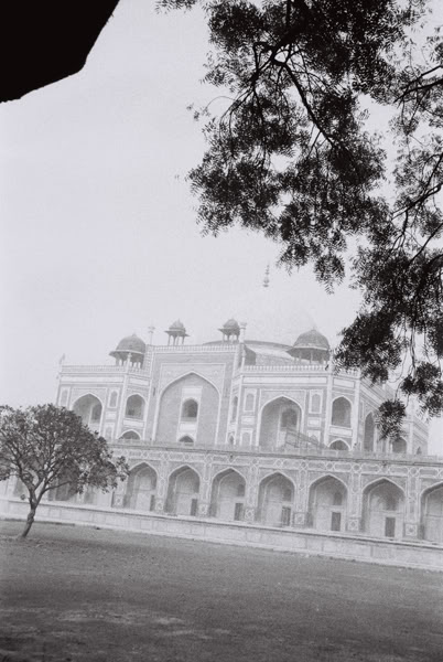 20110426-21.jpg