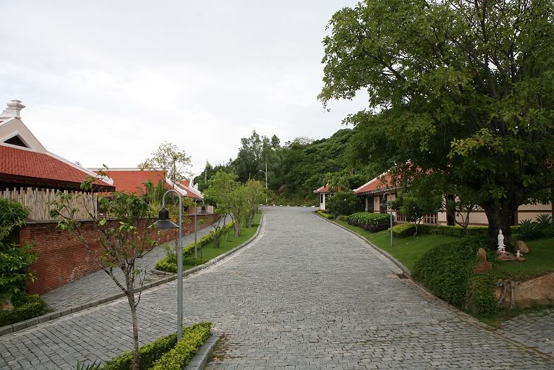 SB03.jpg