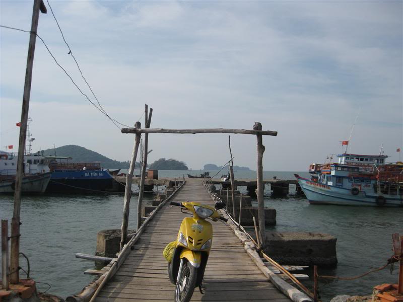 IMG_2439Medium.jpg