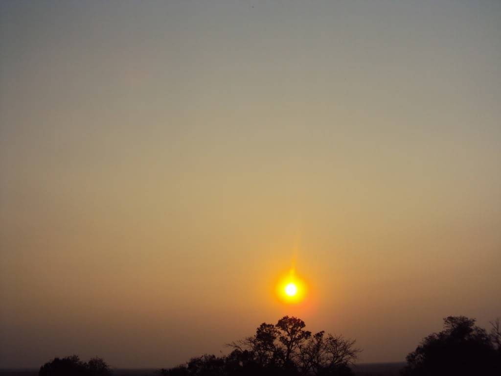 DSC05169.jpg