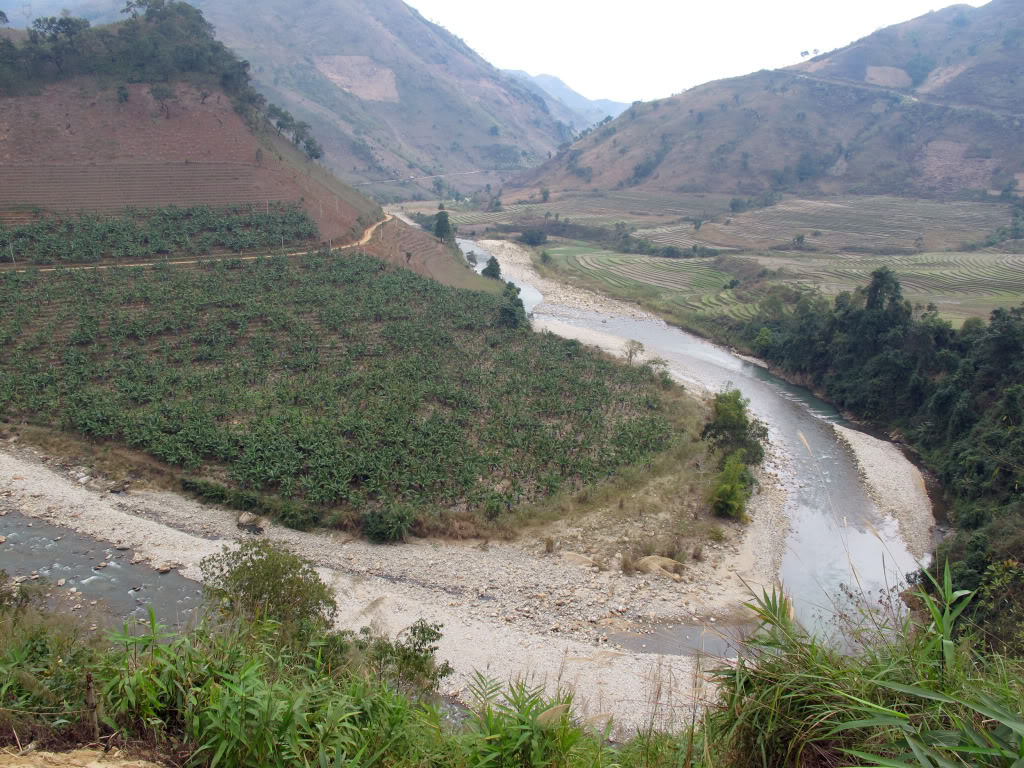 HongNgai2011787.jpg