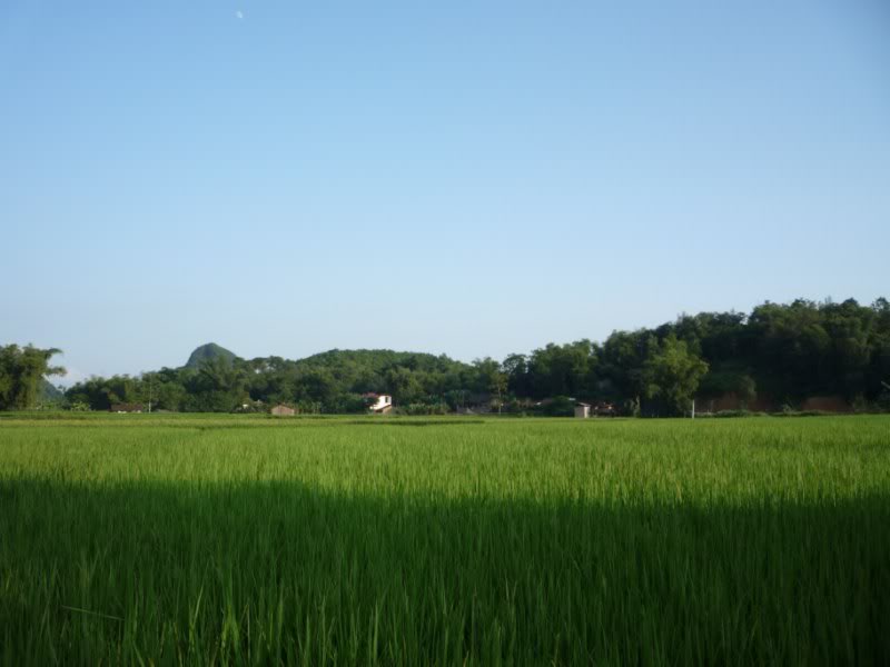 P1010761800x600.jpg