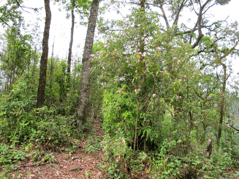 IMG_7258.jpg