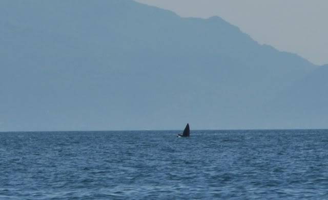 DSC_1743.jpg