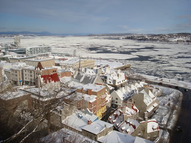 DSC06205.jpg