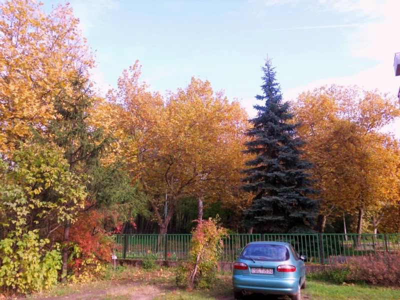 DSCN1031.jpg