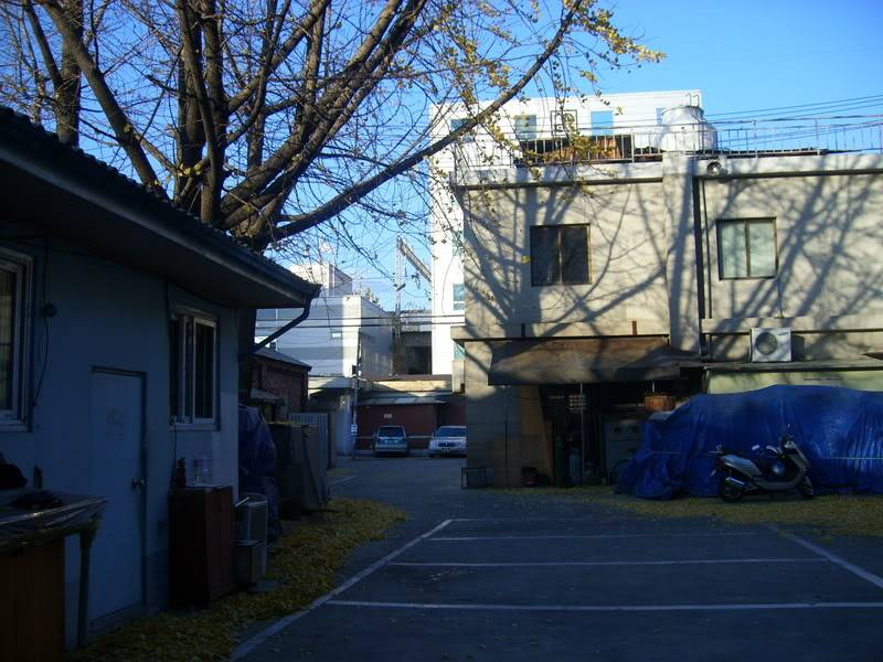 STP60569.jpg