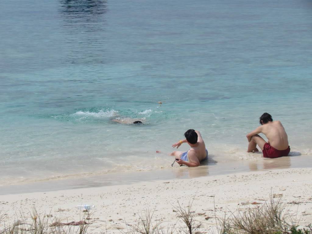 IMG_2495.jpg