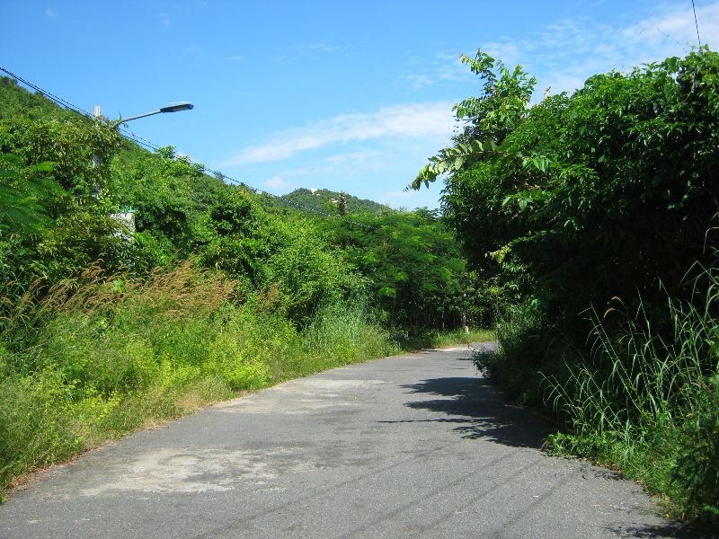 IMG_8326.jpg