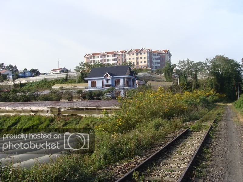 DSC04843.jpg