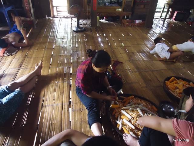 DSC03734-1.jpg