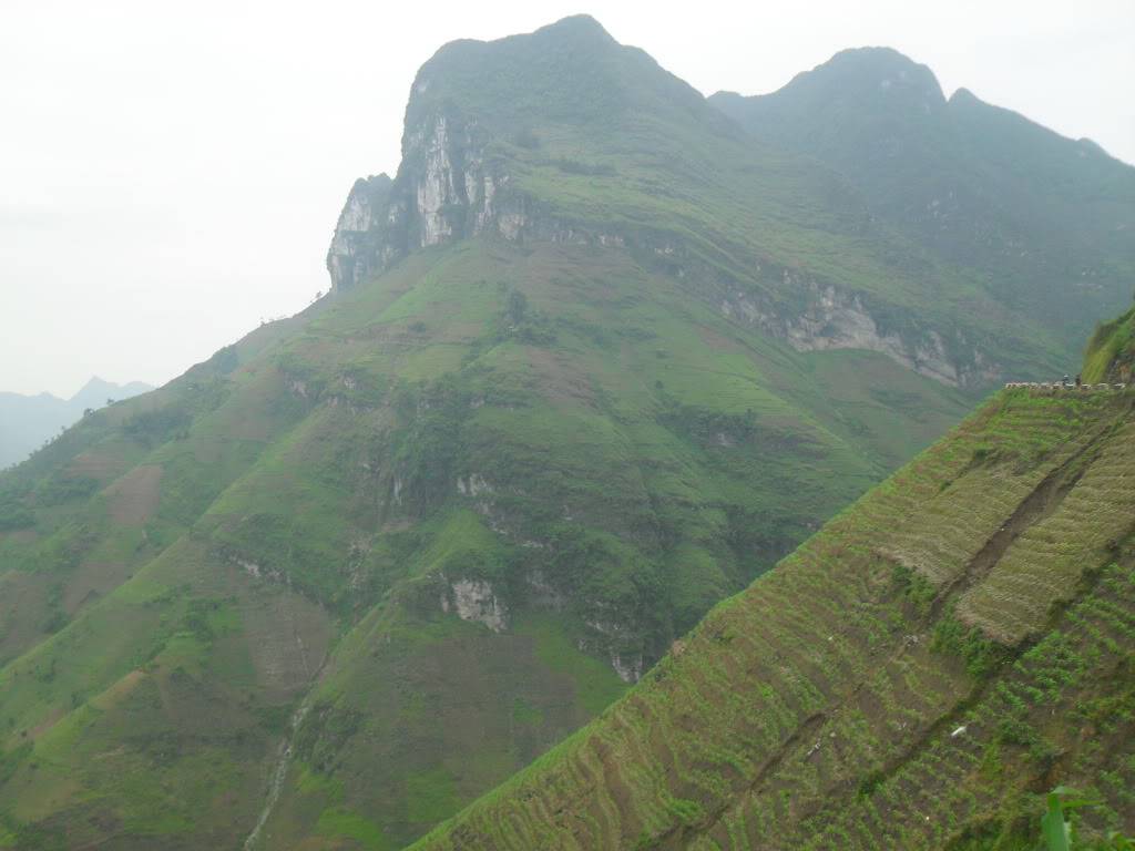SDC15162.jpg