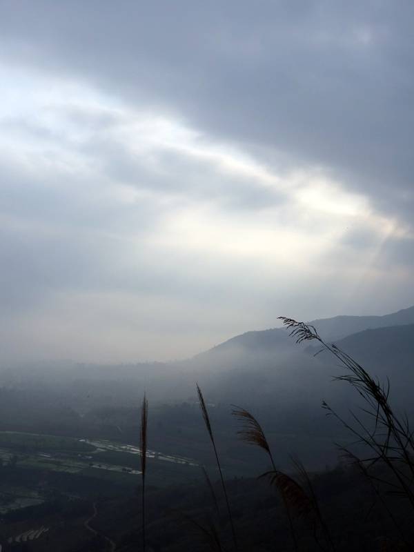 DSC09127_zps0b5e4cb4.jpg