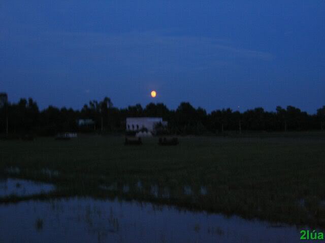 IMG_2004.jpg