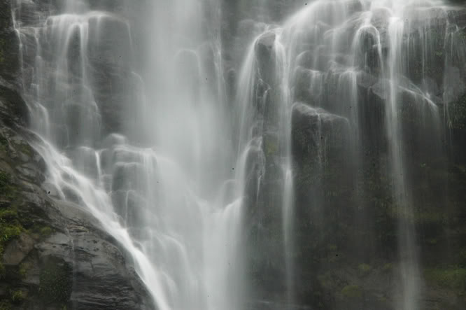DSC_6005.jpg