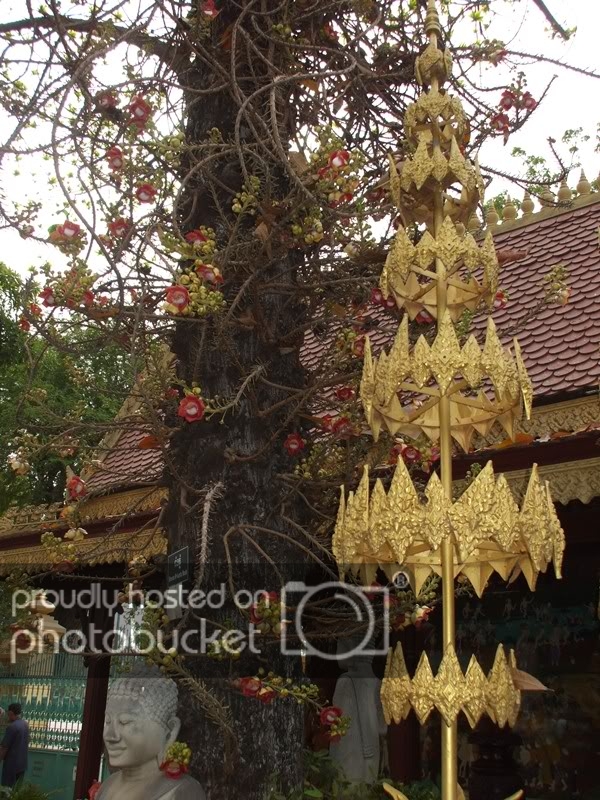 DSCF1565.jpg