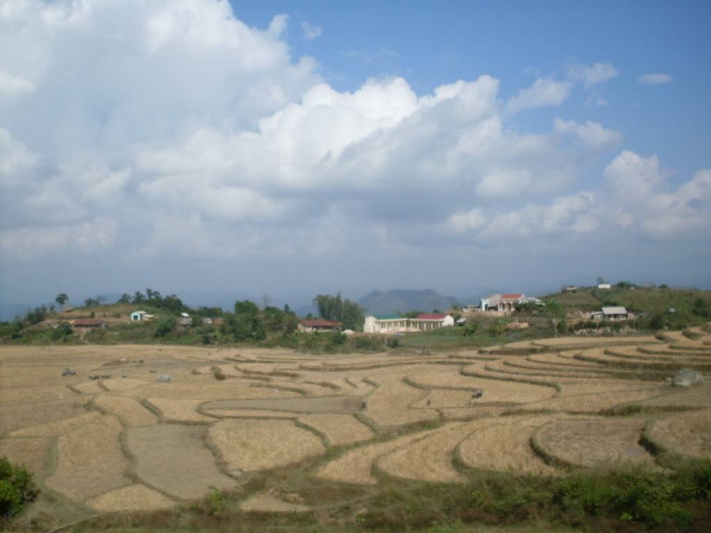 SDC10622.jpg