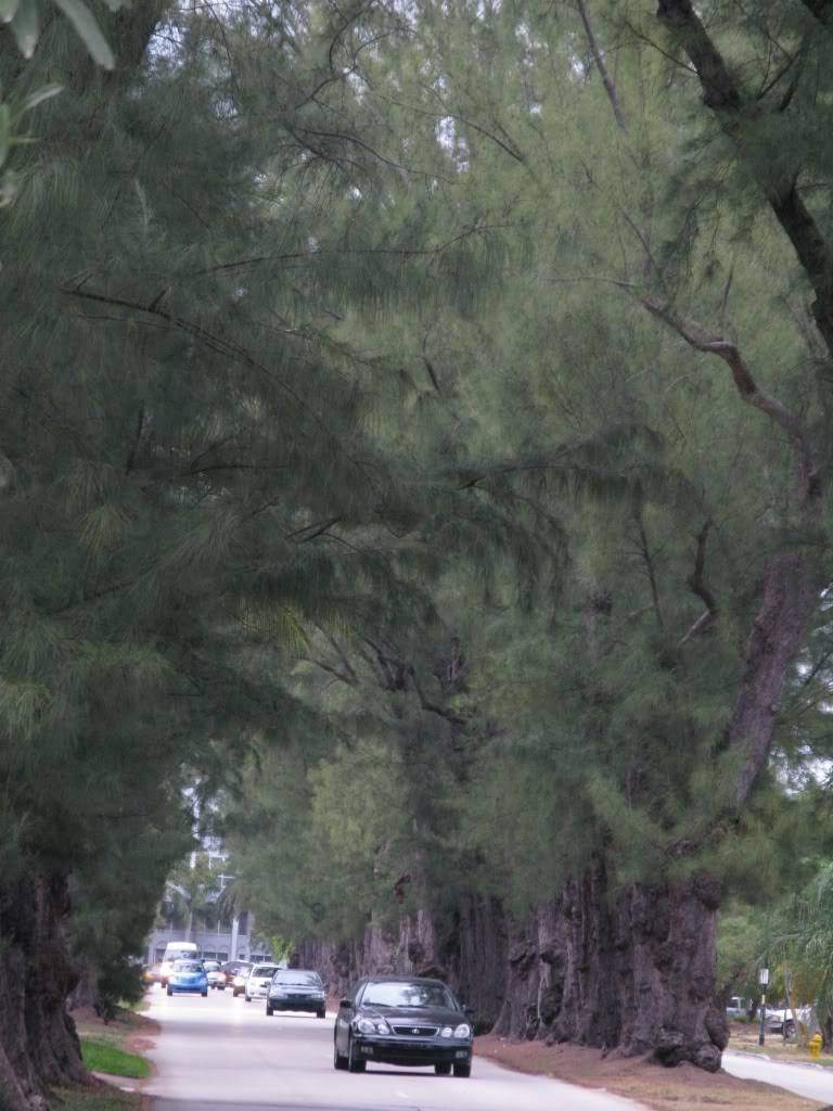 IMG_0420.jpg